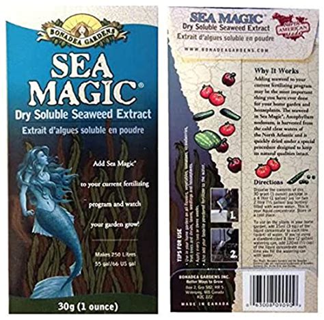 The Science Behind Magic Seaweed RI